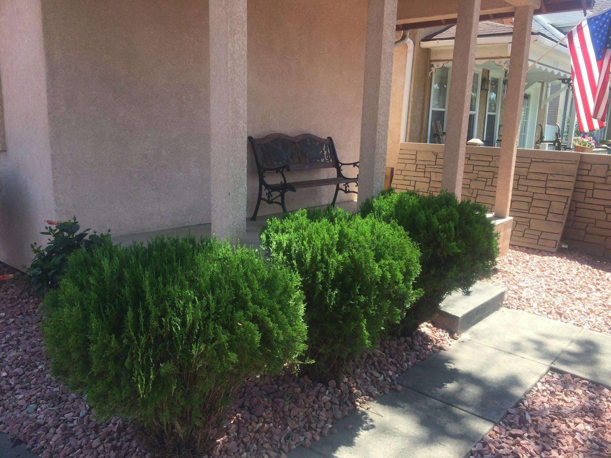 Garden Of The Gods Motel コロラドスプリングス エクステリア 写真